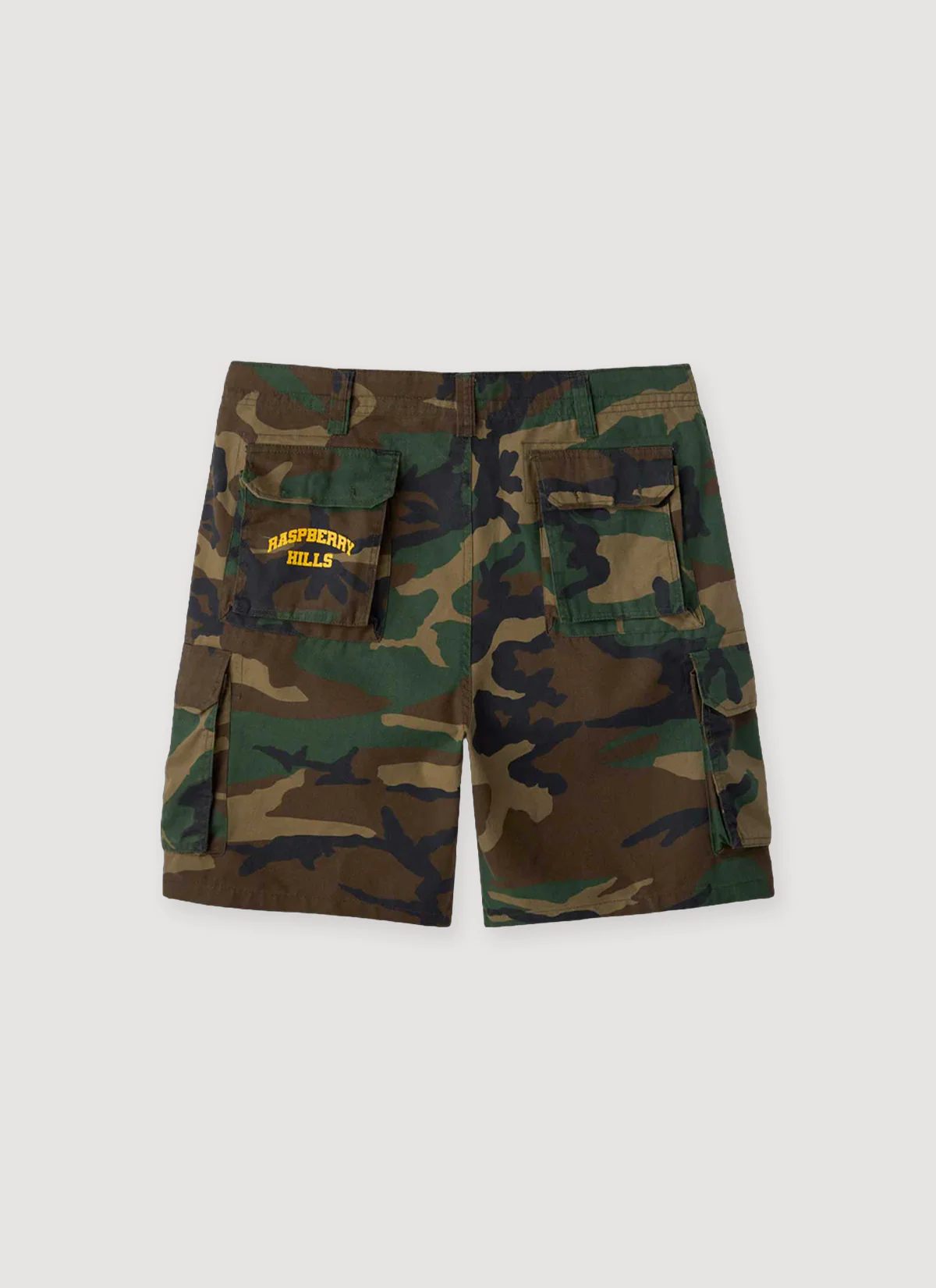 GV Gallery Raspberry Hills Cargo Shorts Camo - Image 2