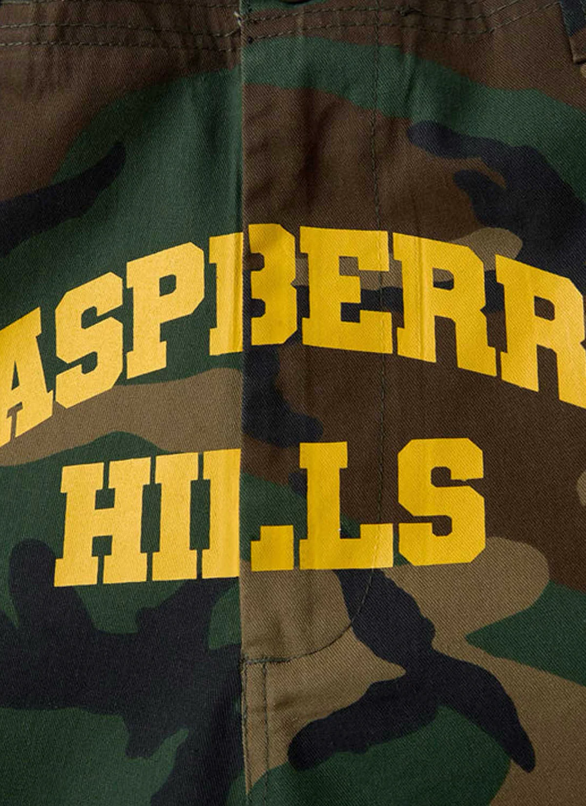 GV Gallery Raspberry Hills Cargo Shorts Camo - Image 3
