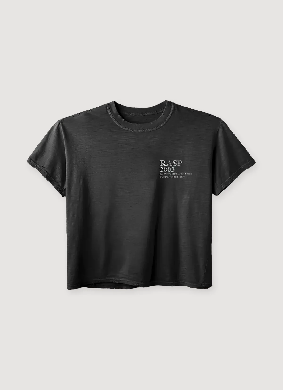 GV Gallery Raspberry Hills Music Tee Vintage Black