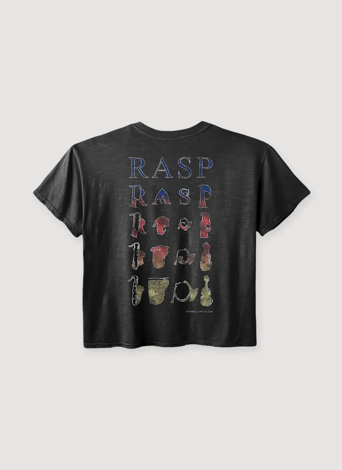 GV Gallery Raspberry Hills Music Tee Vintage Black - Image 2